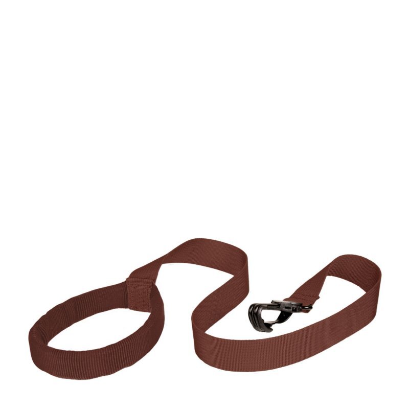 LittleLife Dětský batoh s bezpečnostním vodítkem Dinosaur 2 l