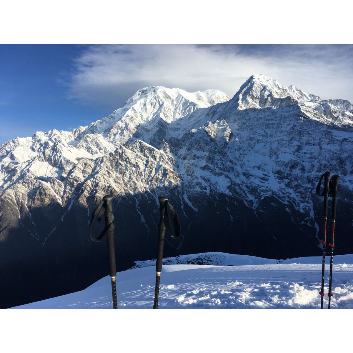 Ferrino Teleskopické hole Mustang černé