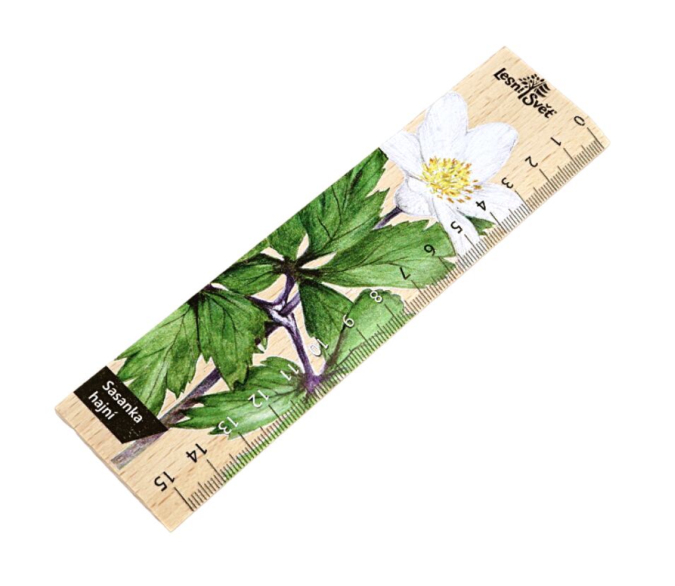 Lesní svět Dřevěné pravítko 15 cm