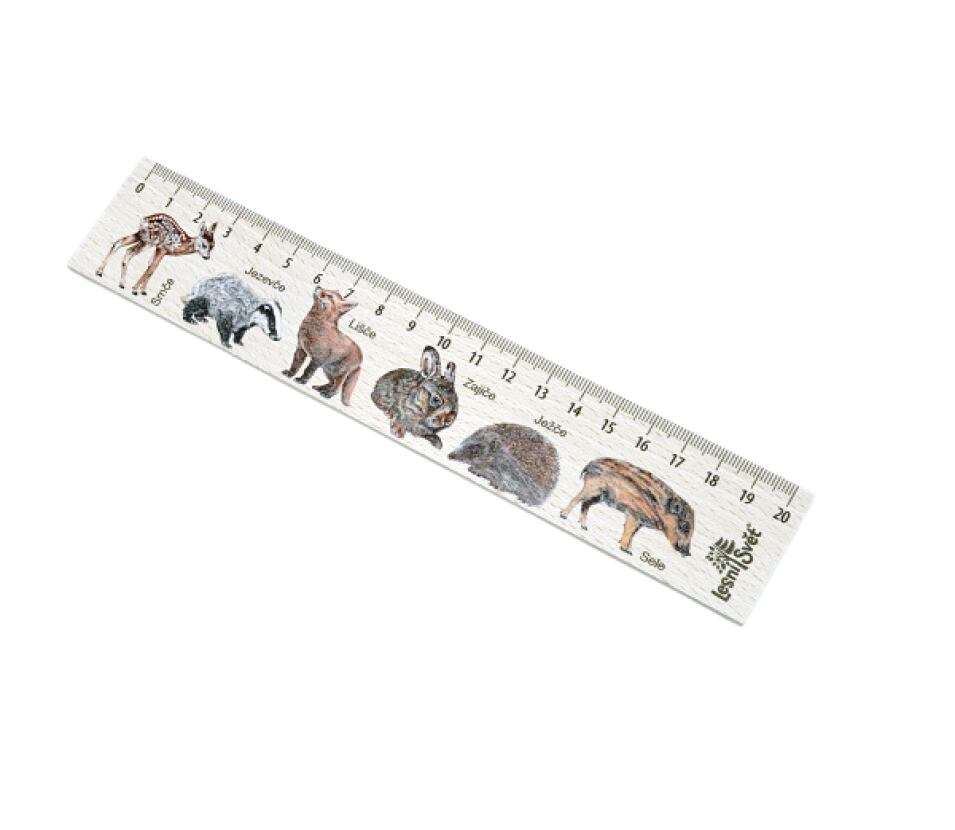 Lesní svět Dřevěné pravítko 20 cm