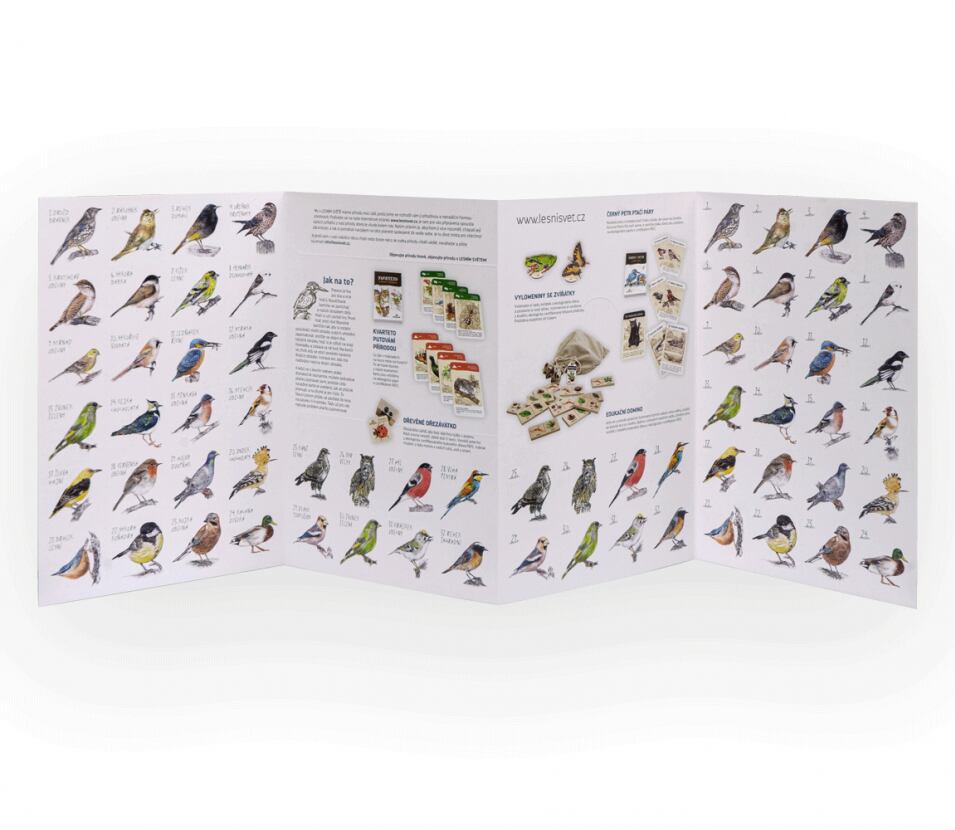 Lesní svět Papírové pexeso Lesní svět