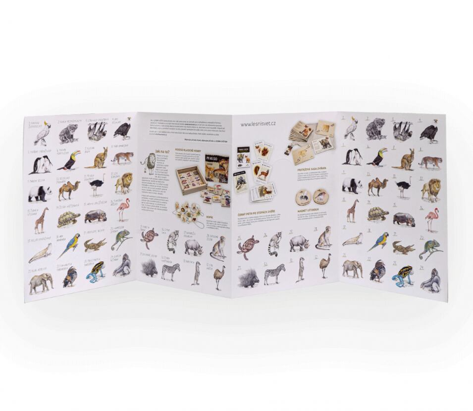 Lesní svět Papírové pexeso Lesní svět