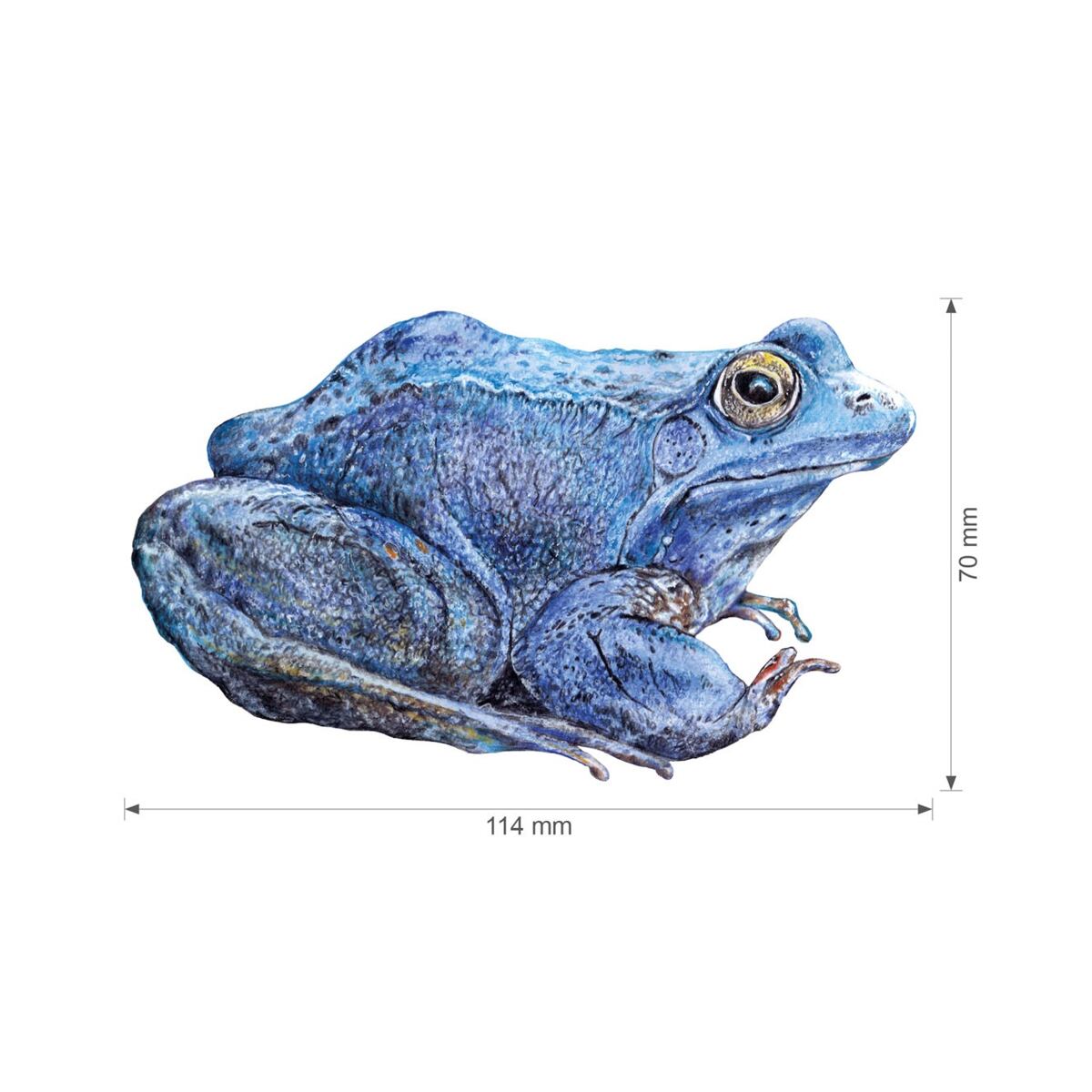 Lesní svět Nažehlovačka S - Mix skokan, vážka, ledňáček